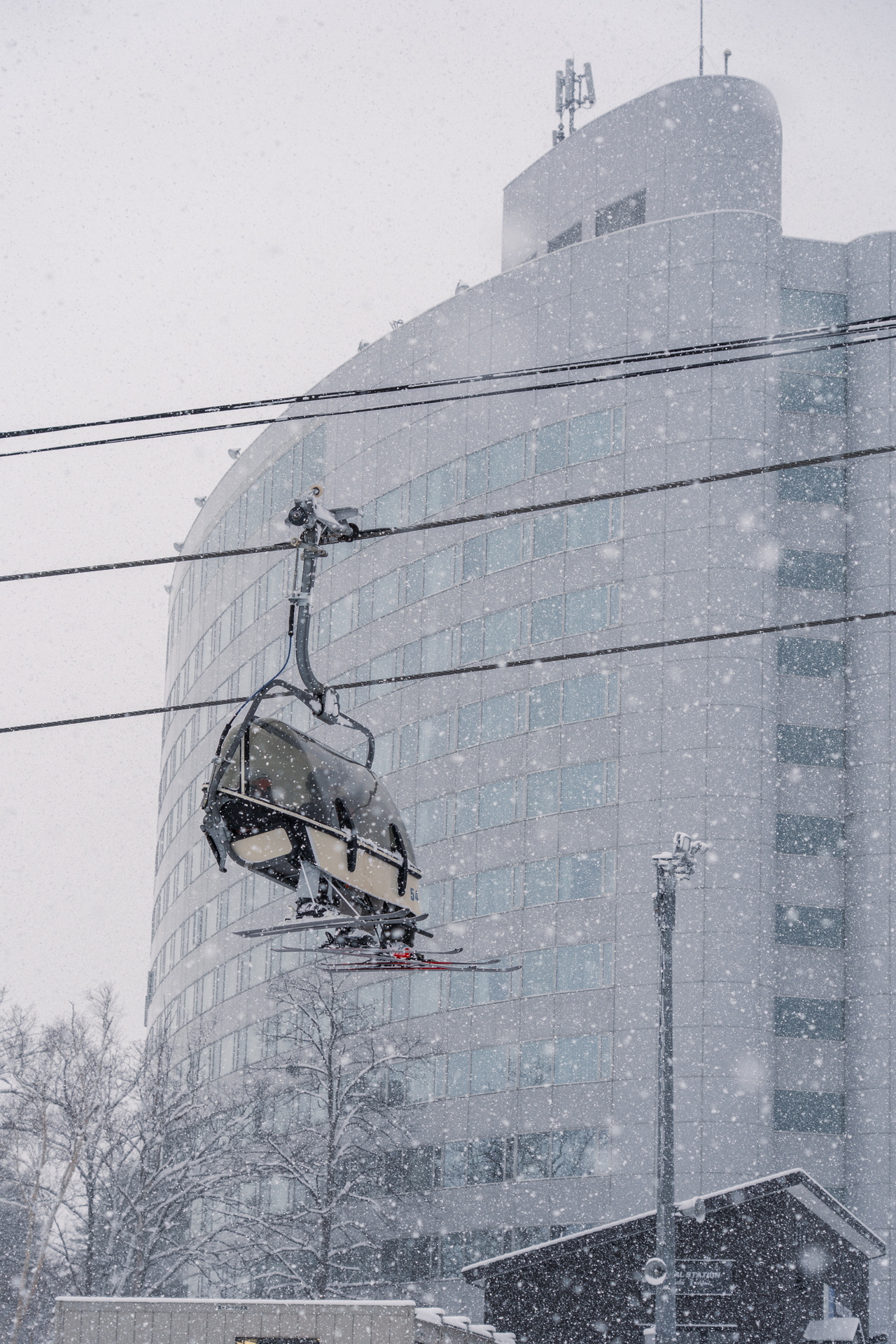 富良野スキー場｜数字以上に良い雪たっぷり！いよいよ『bonchi powder』本領発揮の季節到来です！